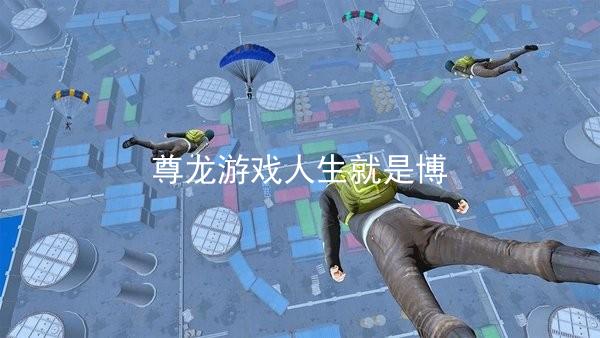 尊龙游戏人生就是博