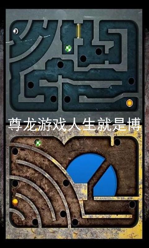 尊龙游戏人生就是博