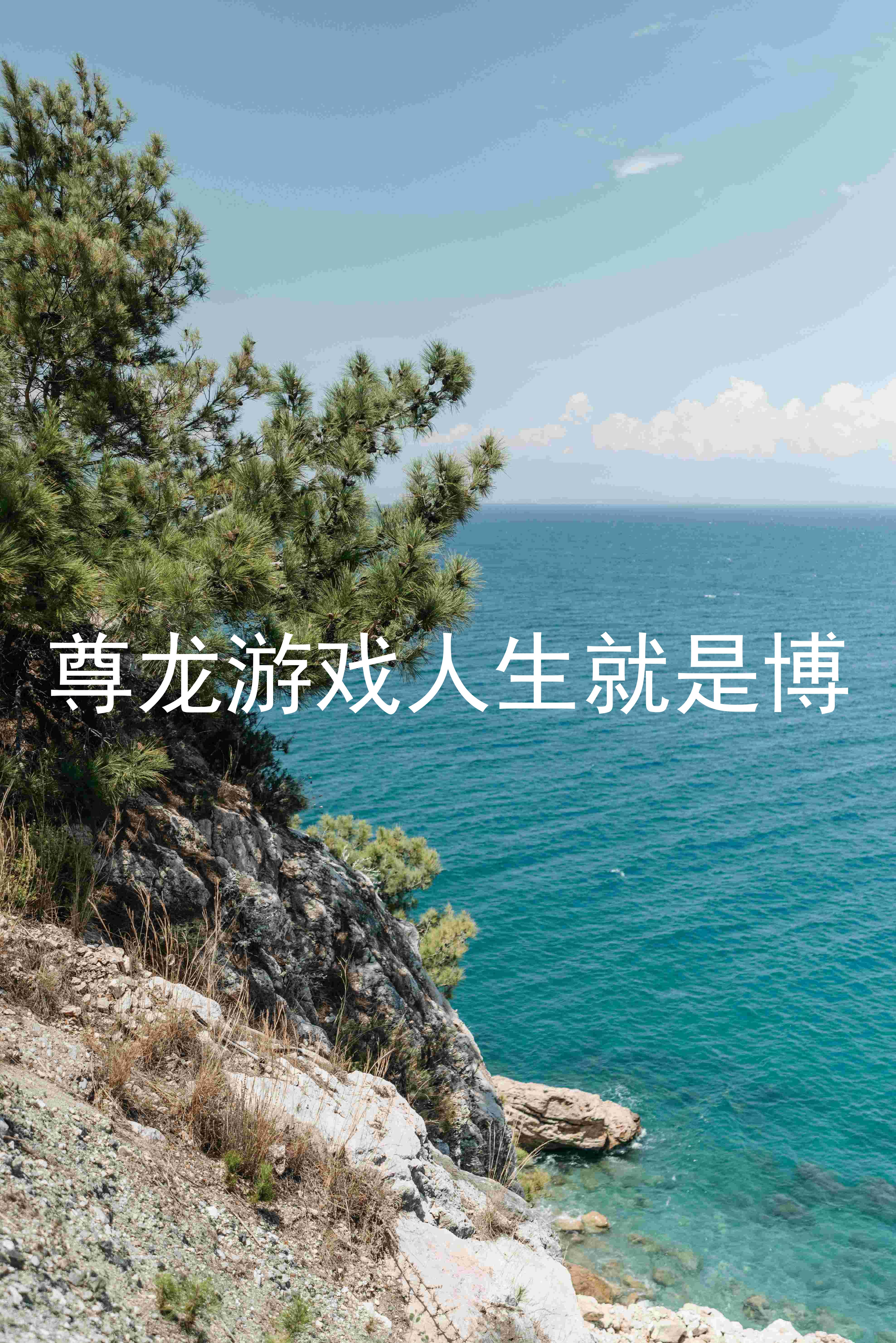 尊龙游戏人生就是博