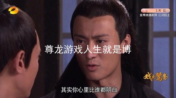 尊龙游戏人生就是博