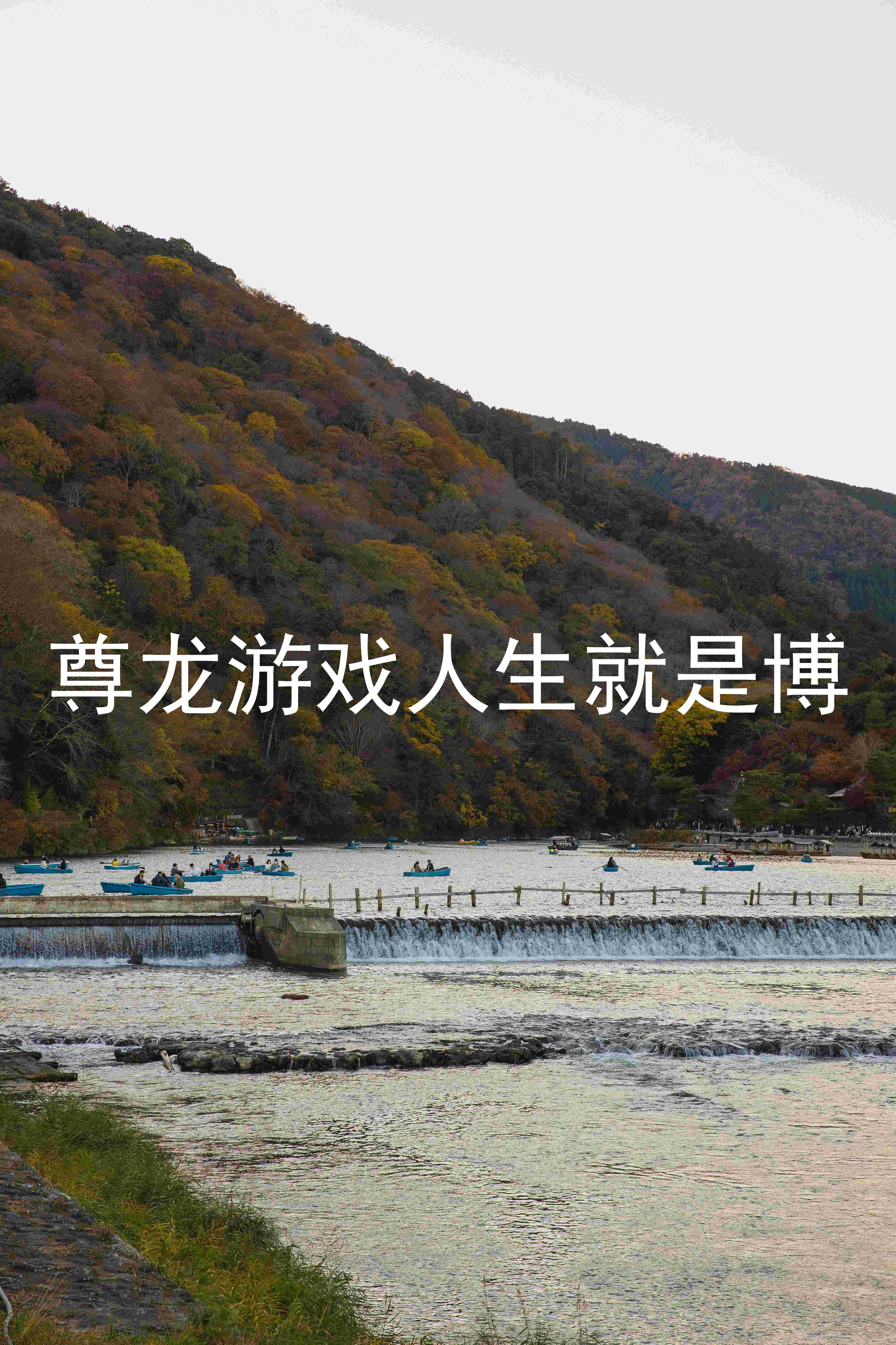 尊龙游戏人生就是博