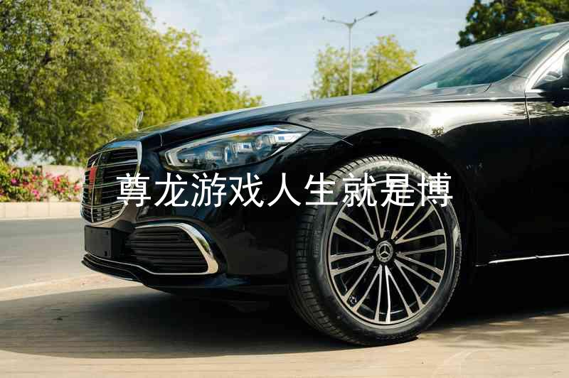 尊龙游戏人生就是博