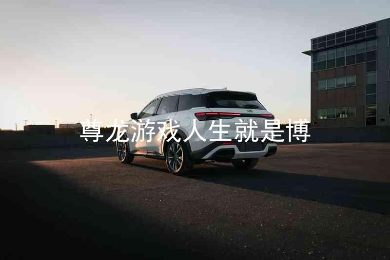 尊龙游戏人生就是博