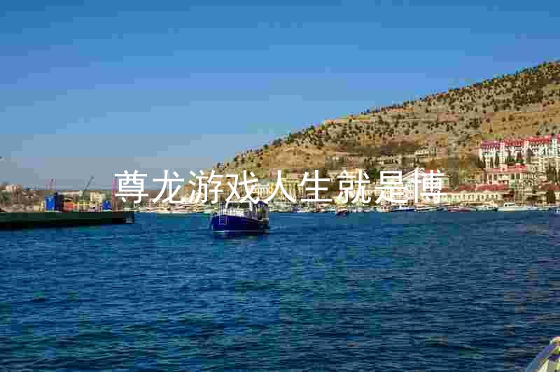 尊龙游戏人生就是博