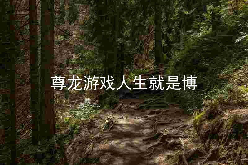 尊龙游戏人生就是博