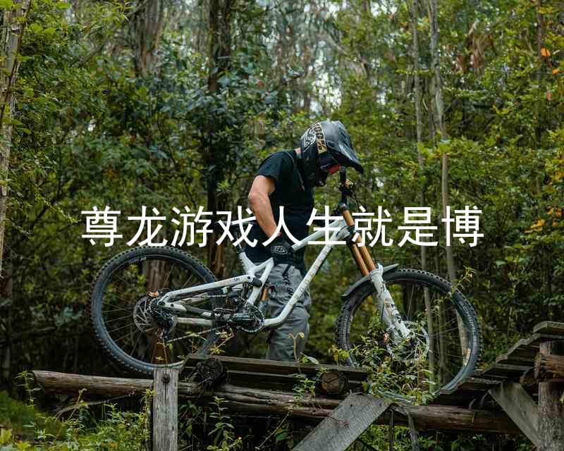 尊龙游戏人生就是博