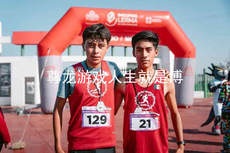 尊龙游戏人生就是博