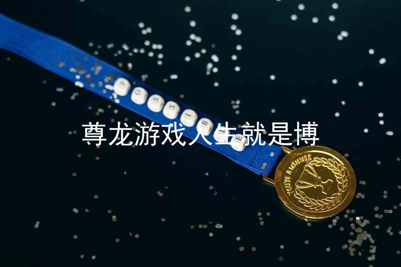 尊龙游戏人生就是博