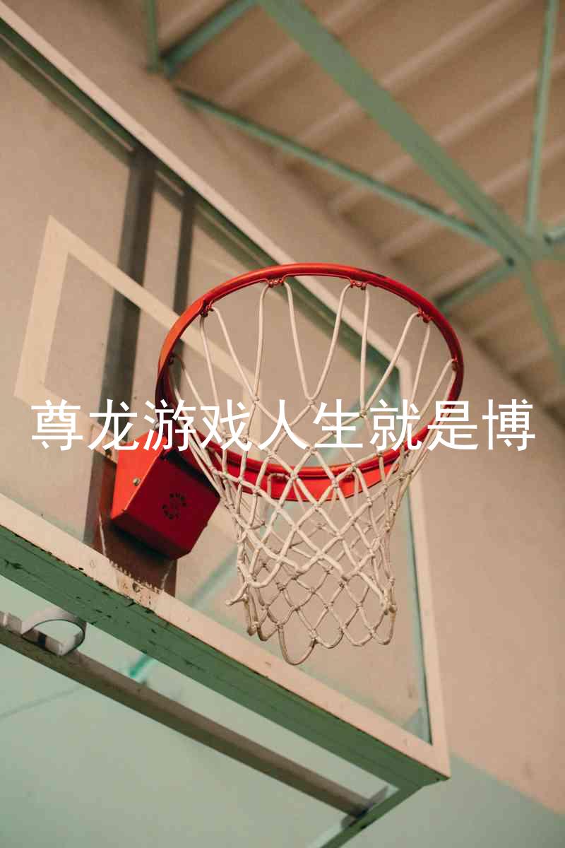 尊龙游戏人生就是博