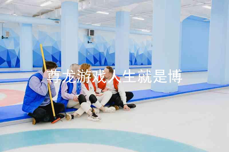 尊龙游戏人生就是博
