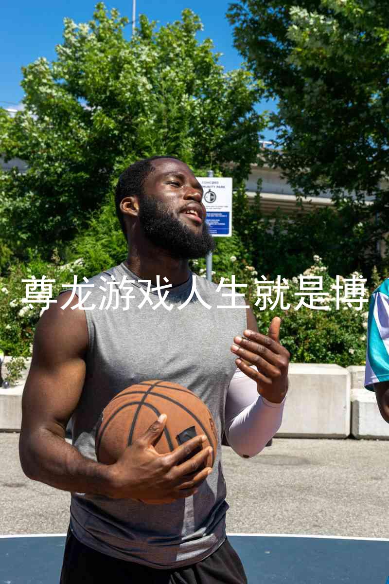 尊龙游戏人生就是博