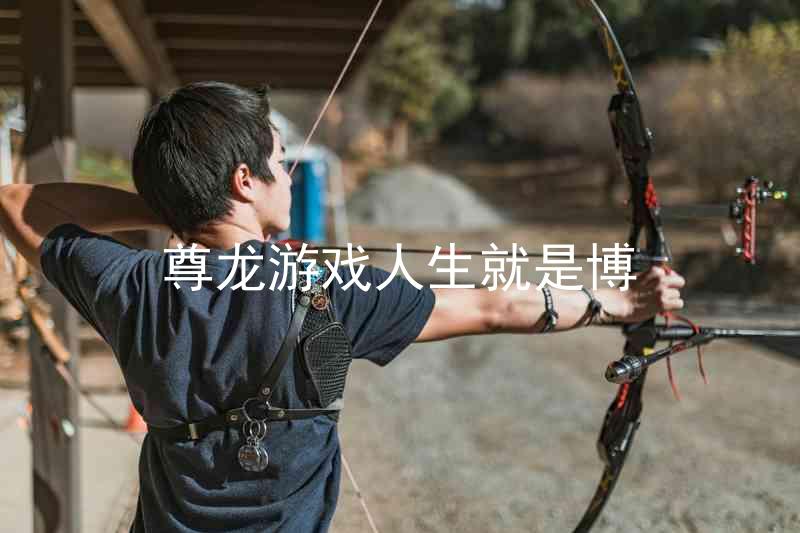 尊龙游戏人生就是博