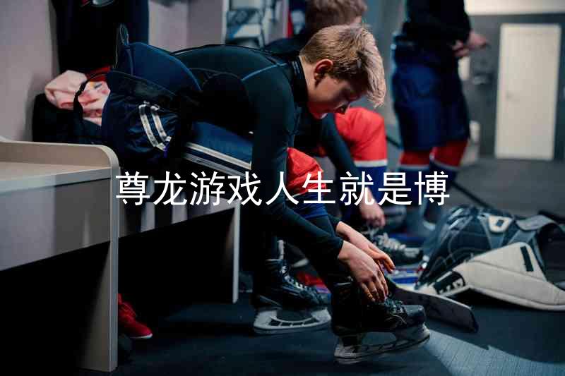 尊龙游戏人生就是博