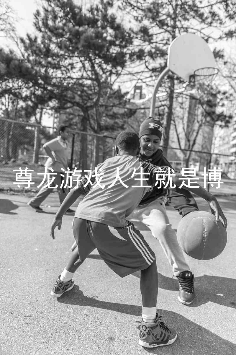 尊龙游戏人生就是博