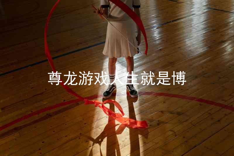 尊龙游戏人生就是博