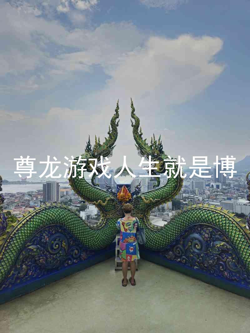尊龙游戏人生就是博