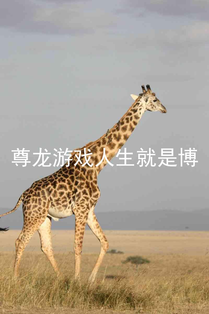 尊龙游戏人生就是博