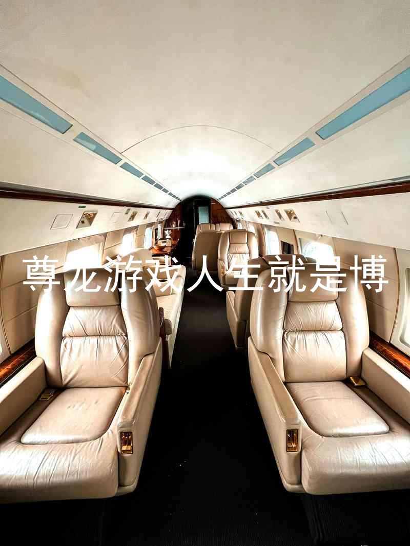 尊龙游戏人生就是博