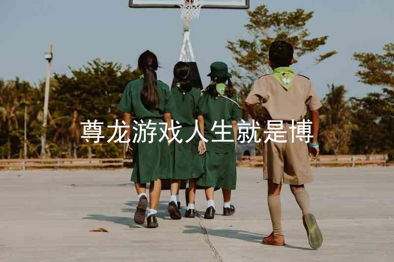 尊龙游戏人生就是博