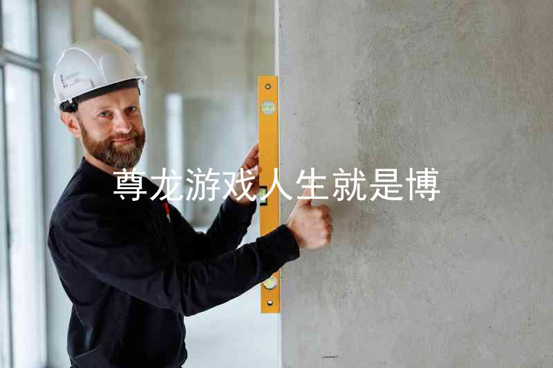 尊龙游戏人生就是博