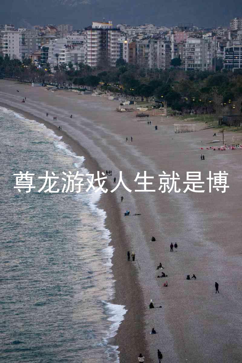 尊龙游戏人生就是博