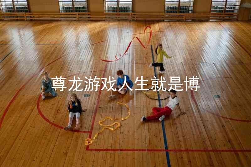 尊龙游戏人生就是博