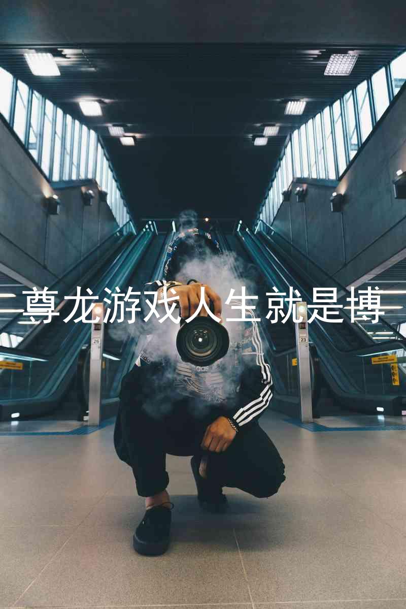 尊龙游戏人生就是博