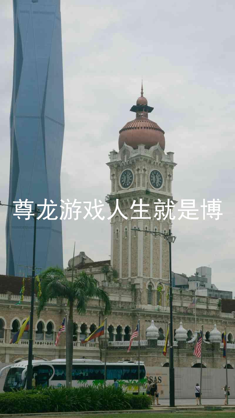 尊龙游戏人生就是博