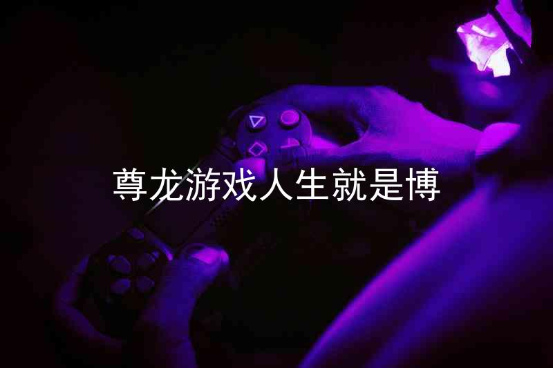 尊龙游戏人生就是博