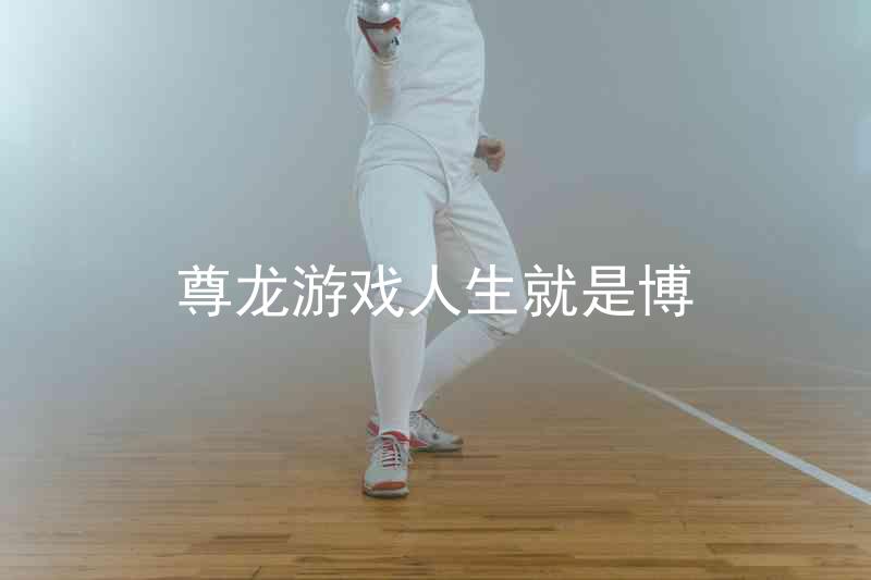 尊龙游戏人生就是博
