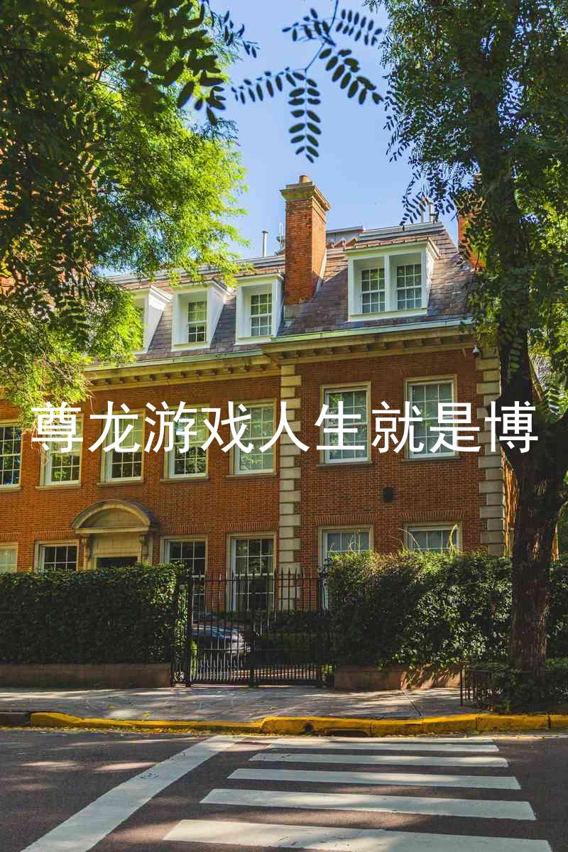 尊龙游戏人生就是博
